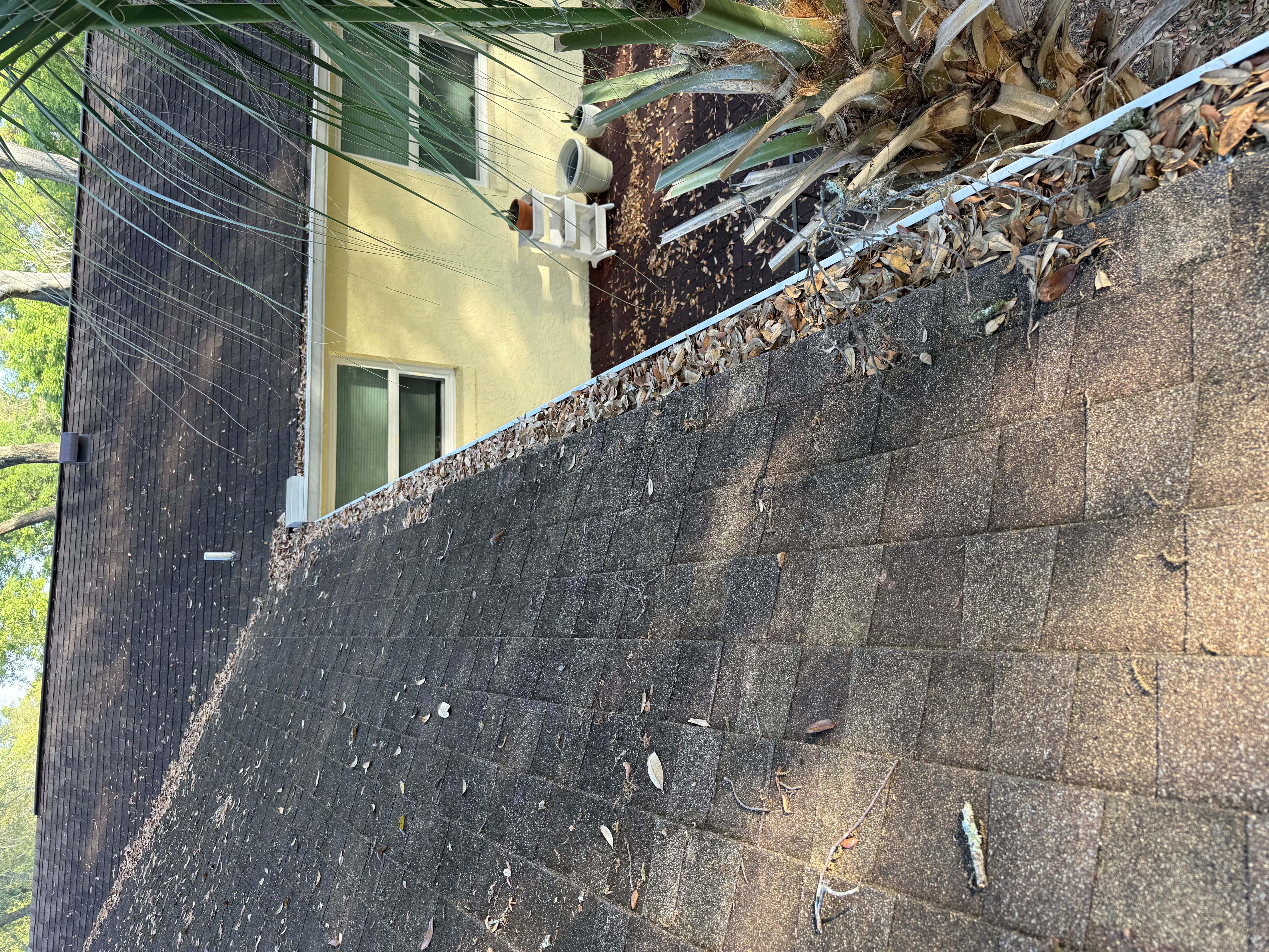 Before Installation 1