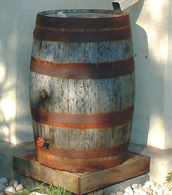 Rain Barrels