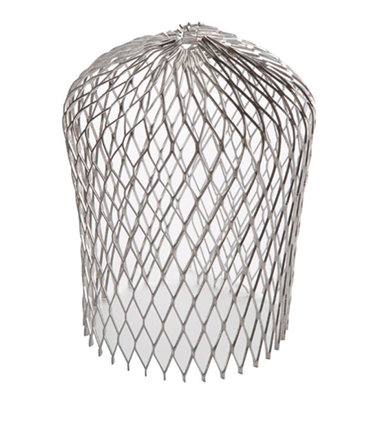 Downspout Strainer